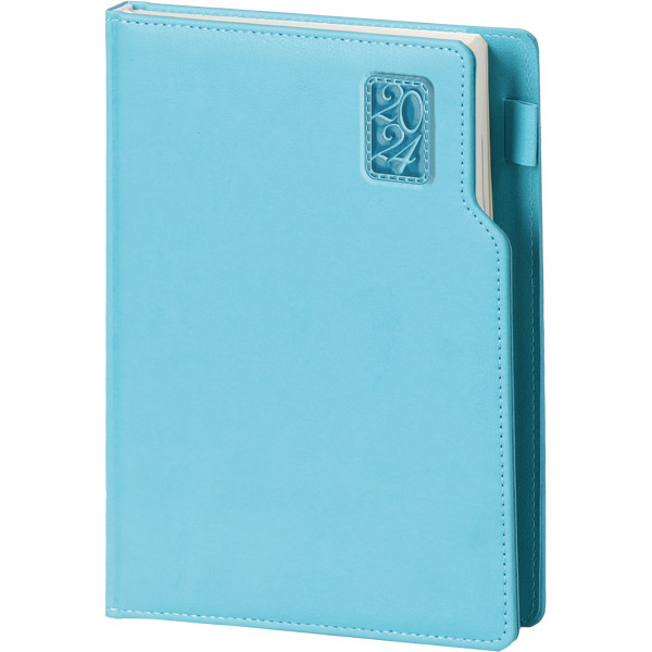 basaksehir_turkuaz_mavi_2024