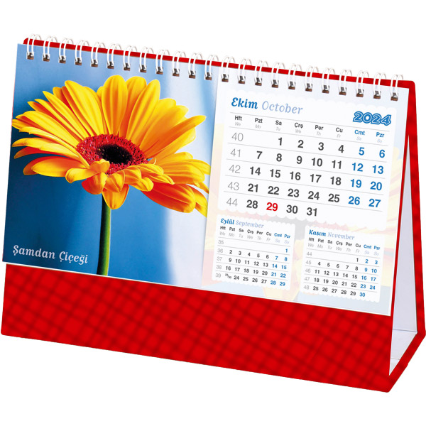 taslama_cicek_kirmizi_2024